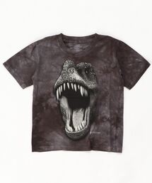 THE MOUNTAIN（ザマウンテン）の「THE MOUNTAIN KIDS TEE － 616395-01（Tシャツ/カットソー）」