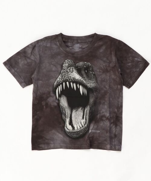 THE MOUNTAIN(�U�}�E���e��)��THE MOUNTAIN KIDS TEE �| 616395-01(T�V���c/�J�b�g�\�[)