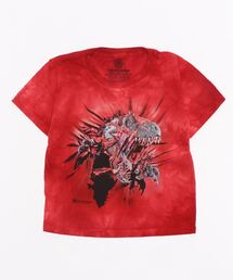 THE MOUNTAIN（ザマウンテン）の「THE MOUNTAIN KIDS TEE － 616395-01（Tシャツ/カットソー）」