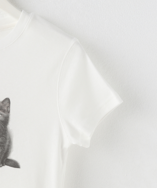 大人気★Attendsアテンズ★Nero Cat Tee Shirt クロップTシャツ Attends / アテンズ】NERO CAT TEE SHIRT（Tシャツ/カットソー