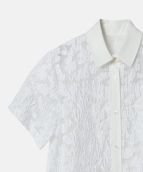 未使用タグ付✨ルシェルブルー シアージャカードドレス 即完売品 セール】シアージャカードドレス / Sheer Jacquard Dress
