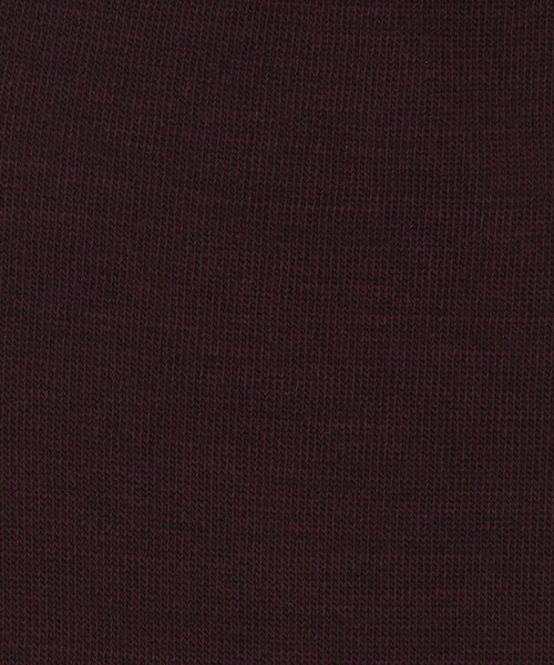 FALKE（ファルケ）の「＜FALKE＞ Color  Socks（ソックス/靴下・レディース・オフホワイト/ワイン/コバルトブルー/ダークグレー・FREE）」の16枚目の写真