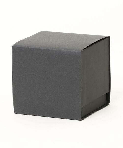 ARMANI EXCHANGE(アルマーニエクスチェンジ)の「アルマーニ・エクスチェンジ 腕時計 レディース アナログ ステンレス AX4625(アナログ腕時計・レディース・チャコールグレー・FREE)」の2枚目の写真