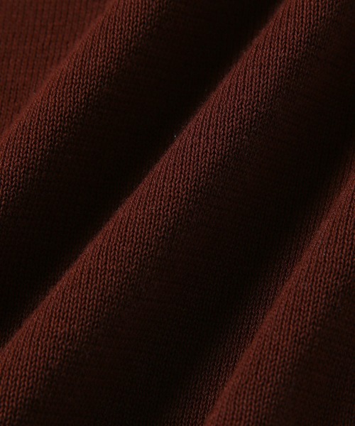 ADAM ET ROPE'（アダムエロペ）の「山形コットンニットポロ（ポロシャツ・レディース・ダークブラウン/ライトグリーン・FREE）」の12枚目の写真