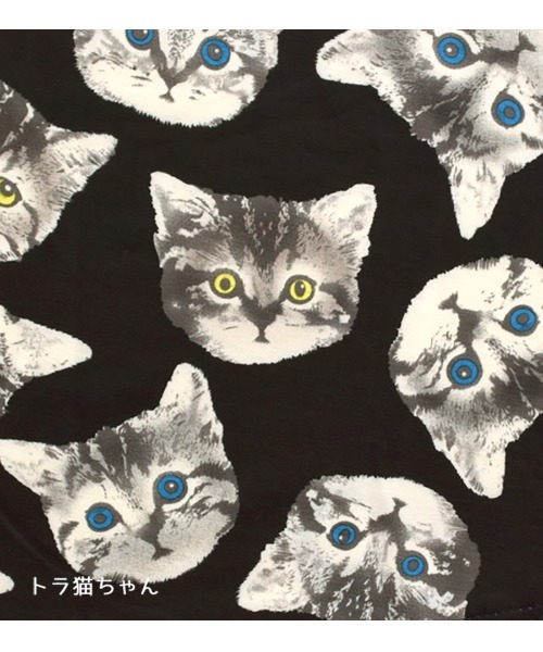 ねこページ Amazon.co.jp: ねこ 2021年2月号 No.117 [雑誌] eBook