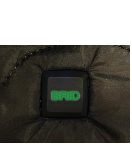 WEB限定 モールディング USBブランケット（ブランケット）｜BRID（ブリッド）