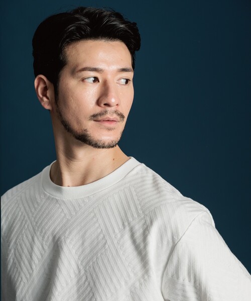 THE SHOP TK （ザ ショップ ティーケー ）の「◆【ご好評につき再入荷！】リンクスジャカード半袖Tシャツ（Tシャツ/カットソー・メンズ・ライトグレー/オフホワイト/ブラック・04/03/02/01）」の2枚目の写真