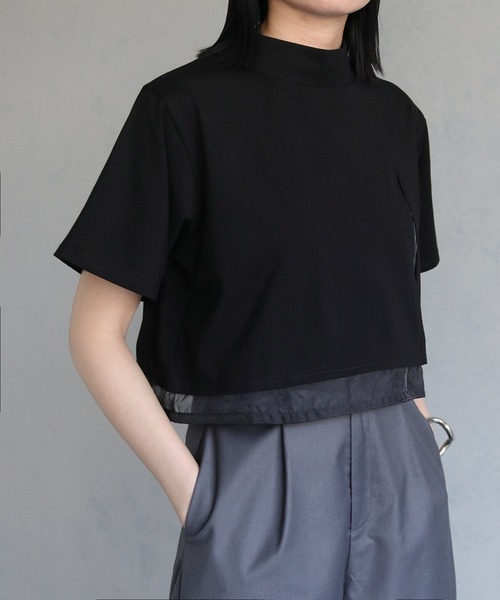 &g'aime（アンジェム）の「【&g’aime】ショートシアーTシャツ（Tシャツ/カットソー・レディース・ブラック/ホワイト・FREE）」の19枚目の写真