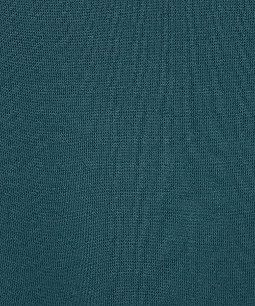 Andemiu（アンデミュウ）の「【新色/接触冷感】ソウバリフレンチニット123548（ニット/セーター・レディース・ブラック/グリーン/ブラウン/オフホワイト/ホワイト/グレー/カーキ/モカ/ブルーグリーン/ブルー・FREE）」の11枚目の写真