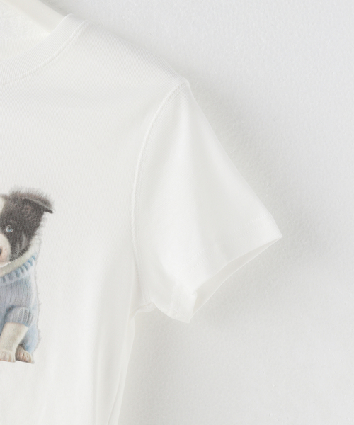 Attends / アテンズ】HUSKY DOG TEE（Tシャツ/カットソー