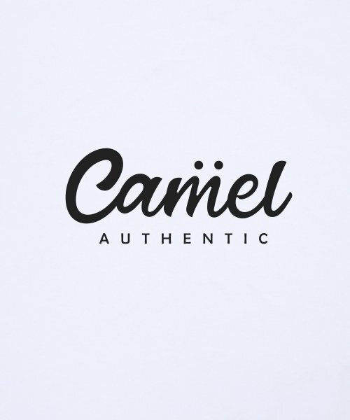 CAMEL WORK(キャメルワーク)の「アセンティックロゴ半袖Tシャツ(ホワイト)(Tシャツ/カットソー・メンズ・その他・LARGE/X-LARGE/MEDIUM)」の7枚目の写真