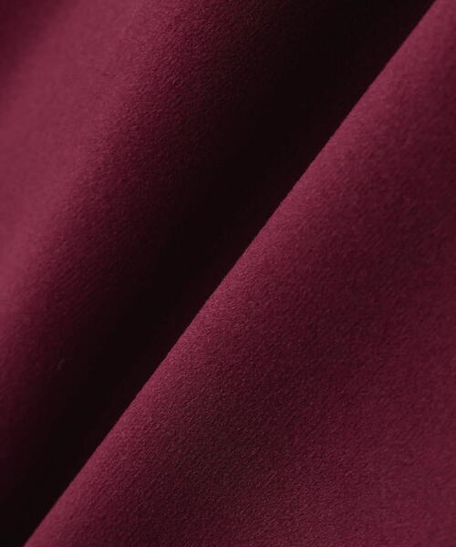 SIS(エスアイエス)の「SIS/エスアイエス/Velour Line Wide Pants(その他パンツ・レディース・ブラウン/ブラック/ワイン・F)」の20枚目の写真