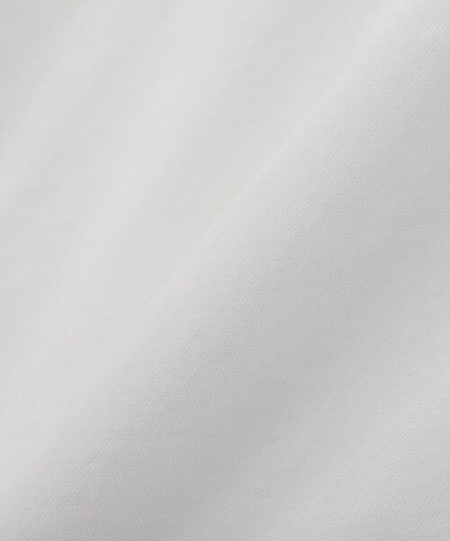 Green Parks(グリーンパークス)の「シアー天竺プルオーバー(Tシャツ/カットソー・レディース・ブラック/オフホワイト・FREE)」の21枚目の写真