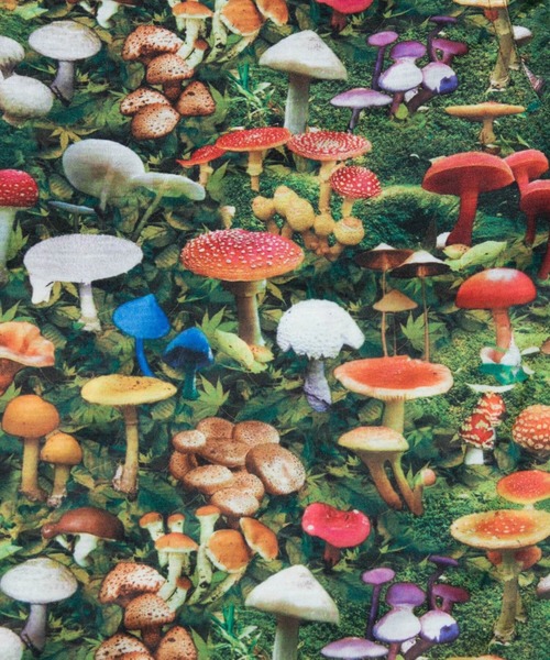 go slow caravan（ゴースローキャラバン）の「ガラガライージーパンツ W（その他パンツ・レディース・パープル系その他/ネイビー/グリーン系その他/その他1/ブラック・FREE）」の7枚目の写真