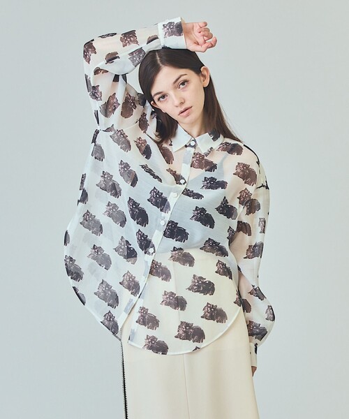 GRACE CLASS（グレースクラス）の「シアーCatブラウス（シャツ/ブラウス・レディース・キナリ/ブラック・36）」の5枚目の写真