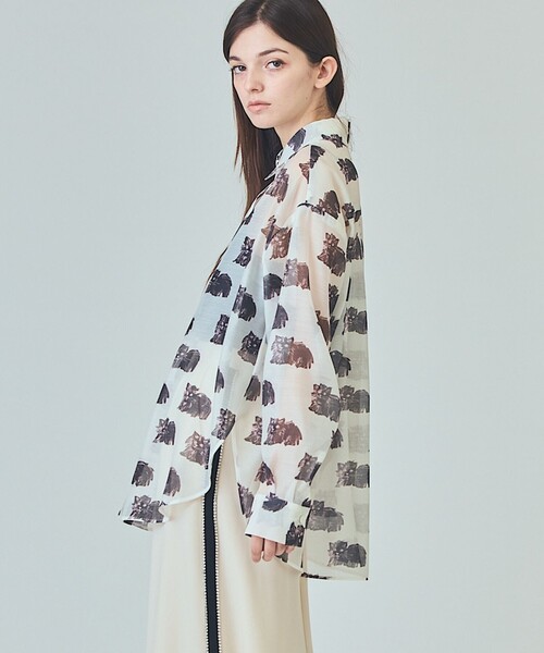 GRACE CLASS（グレースクラス）の「シアーCatブラウス（シャツ/ブラウス・レディース・キナリ/ブラック・36）」の6枚目の写真