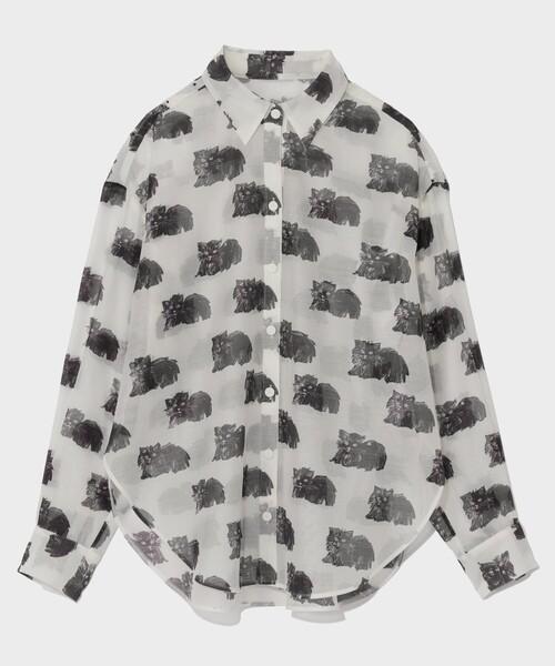 GRACE CLASS（グレースクラス）の「シアーCatブラウス（シャツ/ブラウス・レディース・キナリ/ブラック・36）」の9枚目の写真