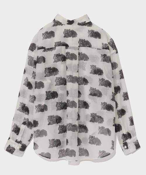 GRACE CLASS（グレースクラス）の「シアーCatブラウス（シャツ/ブラウス・レディース・キナリ/ブラック・36）」の11枚目の写真