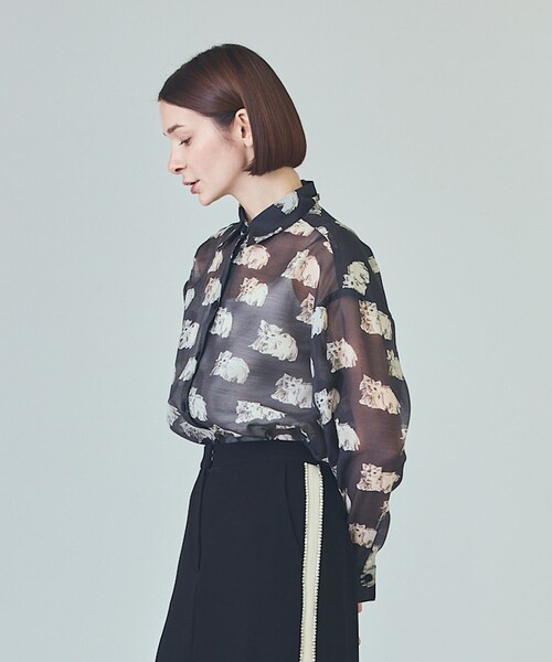 GRACE CLASS（グレースクラス）の「シアーCatブラウス（シャツ/ブラウス・レディース・キナリ/ブラック・36）」の13枚目の写真