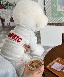 Dalfwin（ダールフィン）の「ペットウェア CLASSICサガラ刺繍ロゴスウェット（ペットウェア）」