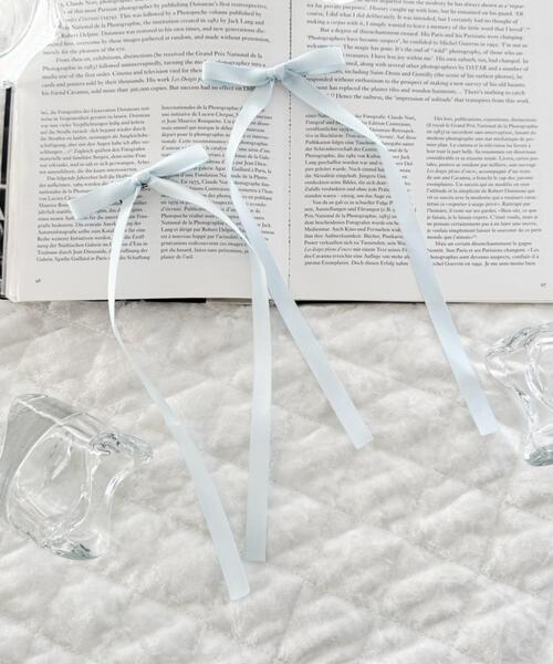 WEGO(ウィゴー)の「WEGO/【2点セット】ロングナローリボンクリップ(バレッタ/ヘアクリップ・レディース・レッド/オフホワイト/サックスブルー/ライトピンク/ブラック・FREE)」の1枚目の写真