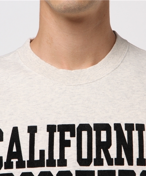 Champion(チャンピオン)の「【Champion/チャンピオン】メンズ キャンパス スウェット(スウェット・メンズ・ブルー系その他/オートミール/ブラック/グレー/モスグリーン・MEDIUM/LARGE/X-LARGE/SMALL)」の9枚目の写真