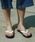 HIGHTIDEinC^Chj́uHippobloo qb|u[ fB[X r[`T_ gOT_ r[TiT_jvbCfBSu[