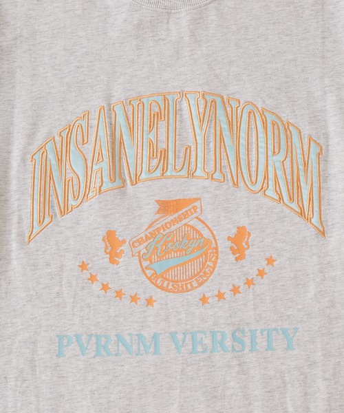 WHO'S WHO gallery(フーズフーギャラリー)の「【KOOKY'N/クーキー】刺繍viesityカレッジTEE(Tシャツ/カットソー・メンズ・ネイビー/ホワイト/ライトグレー/バーガンディー/ブラック・FREE)」の21枚目の写真