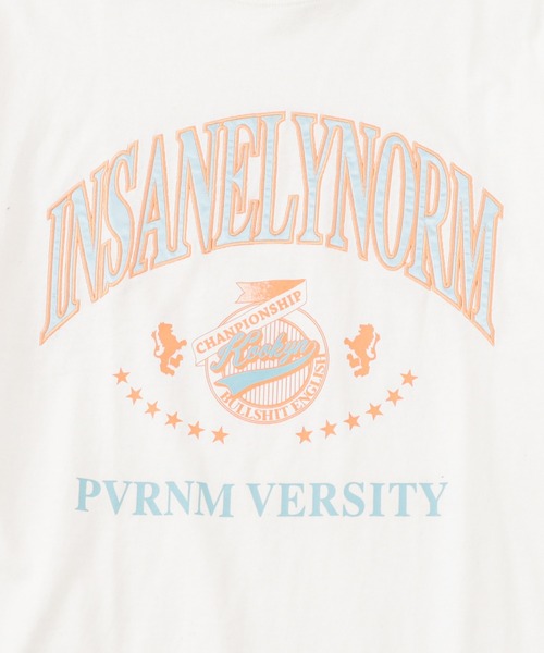 WHO'S WHO gallery(フーズフーギャラリー)の「【KOOKY'N/クーキー】刺繍viesityカレッジTEE(Tシャツ/カットソー・メンズ・ネイビー/ホワイト/ライトグレー/バーガンディー/ブラック・FREE)」の20枚目の写真