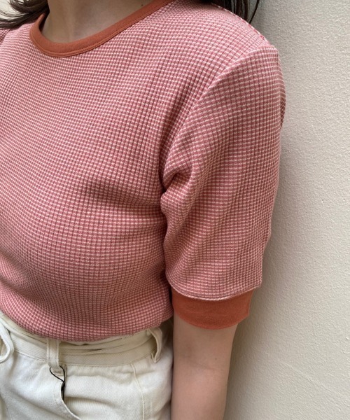 Kastane（カスタネ）の「細リブリンガーボーダーTee（Tシャツ/カットソー・レディース・ライム/ミント/ブルー/ピンク・FREE）」の17枚目の写真