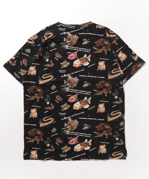 go slow caravan(ゴースローキャラバン)の「総柄図鑑TEE(Tシャツ/カットソー・メンズ・その他1/サックスブルー/ブラック/アイボリー/ブラック系その他2/ナチュラル・MEDIUM/X-LARGE/LARGE)」の18枚目の写真