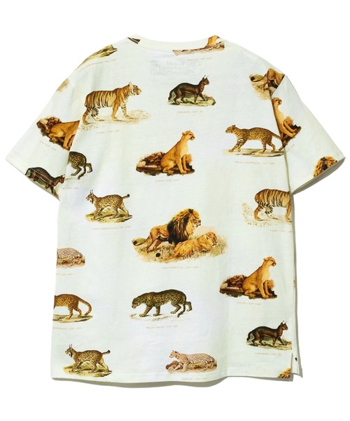 go slow caravan(ゴースローキャラバン)の「総柄図鑑TEE(Tシャツ/カットソー・メンズ・その他1/サックスブルー/ブラック/アイボリー/ブラック系その他2/ナチュラル・MEDIUM/X-LARGE/LARGE)」の14枚目の写真