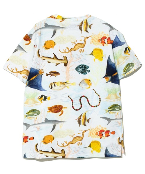 go slow caravan(ゴースローキャラバン)の「総柄図鑑TEE(Tシャツ/カットソー・メンズ・その他1/サックスブルー/ブラック/アイボリー/ブラック系その他2/ナチュラル・MEDIUM/X-LARGE/LARGE)」の8枚目の写真