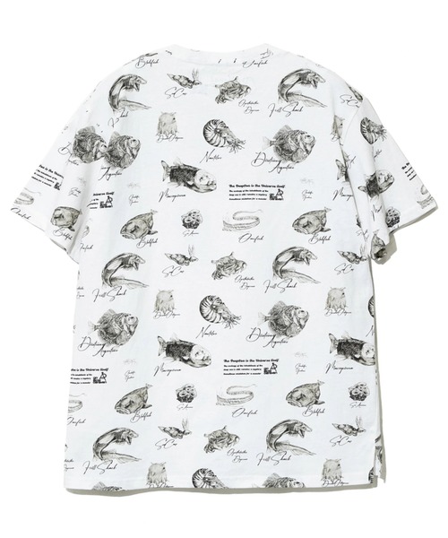 go slow caravan(ゴースローキャラバン)の「総柄図鑑TEE(Tシャツ/カットソー・メンズ・その他1/サックスブルー/ブラック/アイボリー/ブラック系その他2/ナチュラル・MEDIUM/X-LARGE/LARGE)」の17枚目の写真