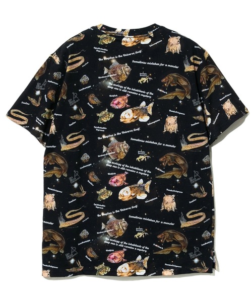 go slow caravan(ゴースローキャラバン)の「総柄図鑑TEE(Tシャツ/カットソー・メンズ・その他1/サックスブルー/ブラック/アイボリー/ブラック系その他2/ナチュラル・MEDIUM/X-LARGE/LARGE)」の15枚目の写真