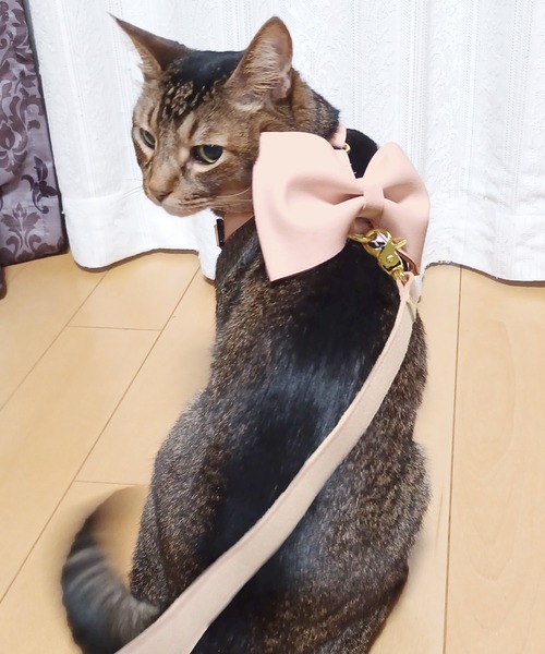 ONEKOSAMA OINUSAMA(オネコサマ)の「スウェードリード(リード/ハーネス/首輪・メンズ・ピンク/ライトブルー・M/S)」の5枚目の写真