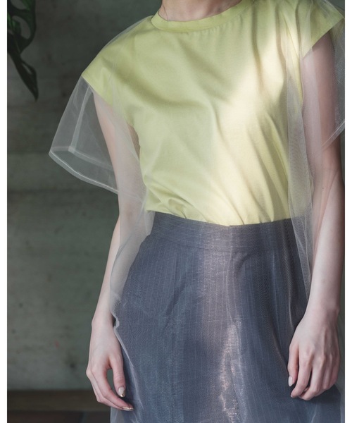 LEANN MOMENT(リーンモーメント)の「Mesh Layerd TEE(Tシャツ/カットソー・レディース・ライトグリーン・FREE)」の5枚目の写真