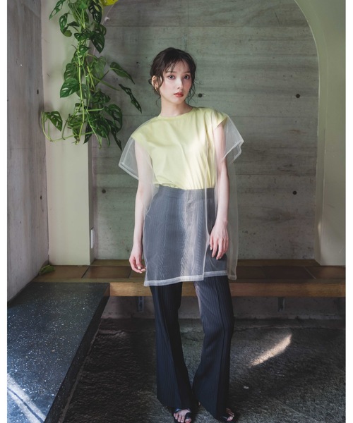 LEANN MOMENT(リーンモーメント)の「Mesh Layerd TEE(Tシャツ/カットソー・レディース・ライトグリーン・FREE)」の6枚目の写真
