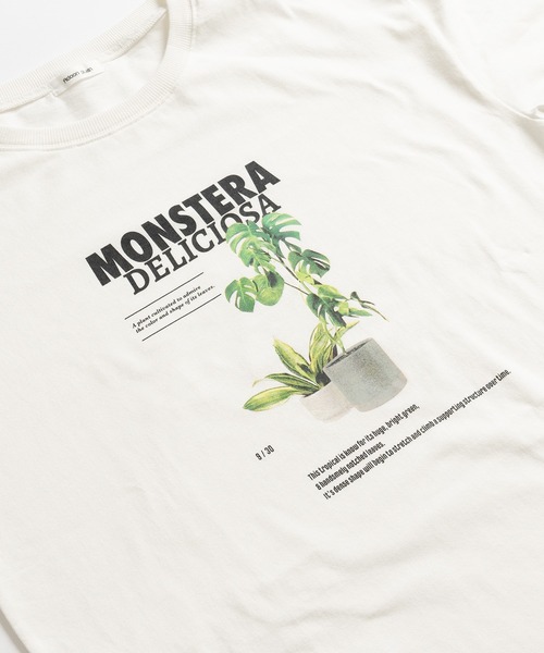 Adoon plain(アドーンプレーン)の「アソートプリントT (プランター)(Tシャツ/カットソー・メンズ・オフホワイト/チャコールグレー/ブラック系その他/ホワイト系その他/ブラック・LARGE/MEDIUM)」の8枚目の写真
