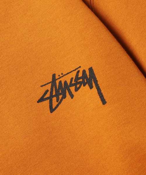 STUSSY（ステューシー）の「STUSSY/ステューシー Ocular Crew (Wmns) クルーネックスウェット（スウェット・メンズ・ブラウン・L/S）」の4枚目の写真