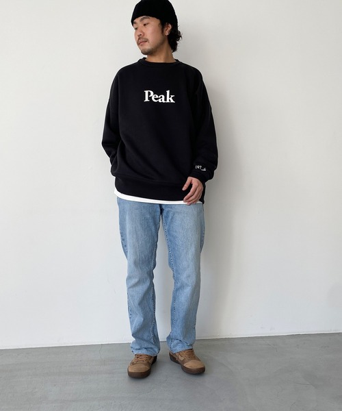 CANAL JEAN（キャナルジーン）の「1975 TOKYO　Peak起毛トレーナー（スウェット・レディース・ブラック/アッシュ/セージグリーン・LARGE/X-LARGE）」の17枚目の写真