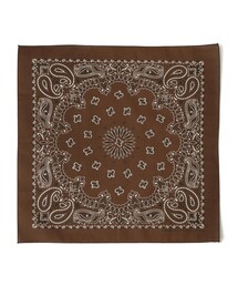 HAV-A-HANK | USA PAISLEY BANDANNAS:ペイズリー バンダナ(バンダナ/スカーフ)
