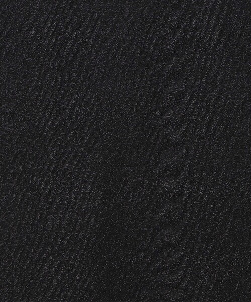 coen（コーエン）の「ラメシアー プルオーバー（Tシャツ/カットソー・レディース・ライトグレー/ブラック/ライトブルー・M/L）」の19枚目の写真