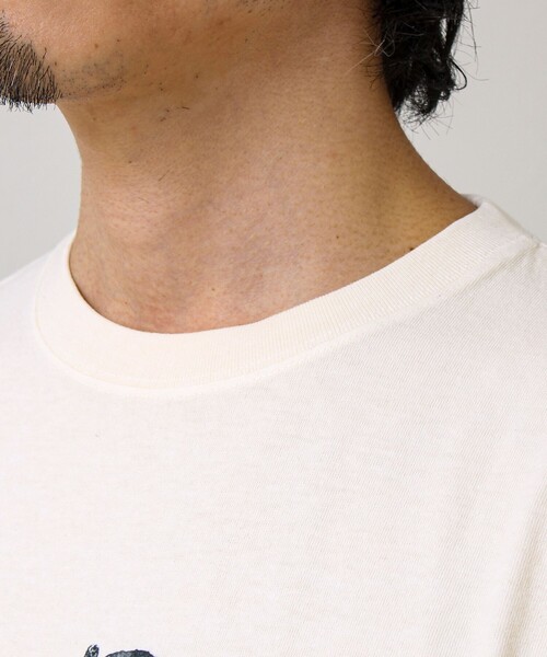 GLOSTER(グロスター)の「【モノトーン果実図鑑】フルーツプリントTシャツ(Tシャツ/カットソー・メンズ・ホワイト系その他4/ホワイト系その他2/ホワイト系その他3/ホワイト系その他・L/M/S)」の17枚目の写真