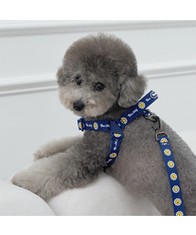 Bailey（ベイリー）の「犬の散歩デイジーワーキーハーネス（リード/ハーネス/首輪）」