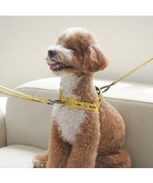 Bailey（ベイリー）の「犬の散歩デイジーワーキーハーネス（リード/ハーネス/首輪）」