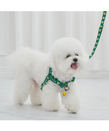 Bailey（ベイリー）の「犬の散歩デイジーワーキーハーネス（リード/ハーネス/首輪）」