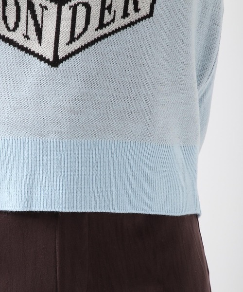 WONDER VISITOR（ワンダービジター）の「WONDER VISITOR／Box Catニットベスト 2276924（ベスト・レディース・ライトブルー/ブラウン・FREE）」の14枚目の写真