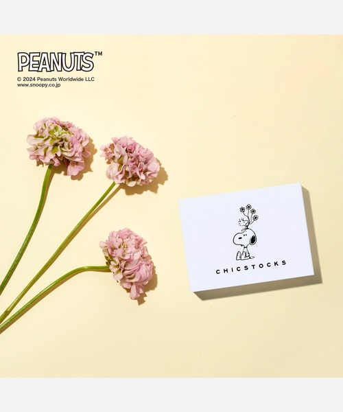 CHICSTOCKS（シックストックス）の「SNOOPY×CHICSTOCKS［フラワー］（ソックス/靴下・レディース・アイボリー/ライトブルー/ネイビー/グレイッシュベージュ/ライトグリーン・SMALL/MEDIUM/LARGE）」の11枚目の写真