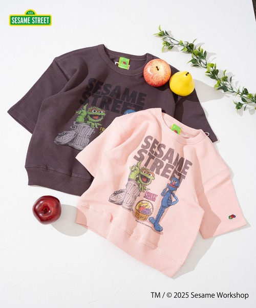 FRUIT OF THE LOOM】ハーフスリーブスウェット③ / キッズ / セサミ